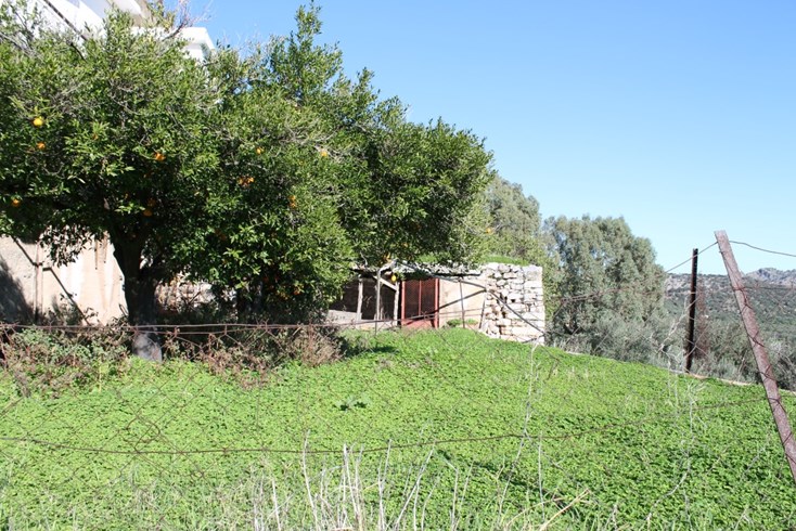 Realty photo 1