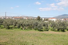 Property 3477 photo 2