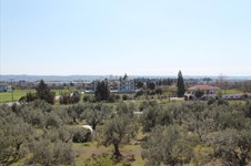 Property 3477 photo 3