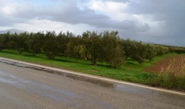 სასტუმრო 3200 m² კრეტაზე