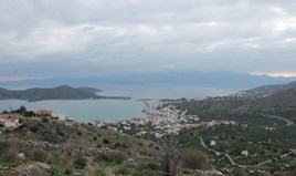 Terrain 4060 m² en Crète
