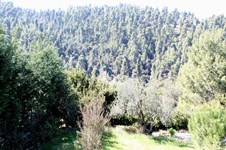 Property 3481 photo 12