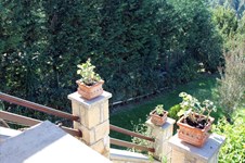 Property 3481 photo 13