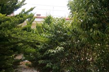 Property 34828 photo 19