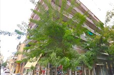 Property 34851 photo 8