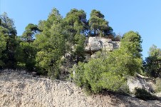 Property 3487 photo 6