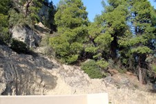 Property 3487 photo 7