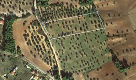 Zemljište 11700 m² na Kasandri (Halkidiki)