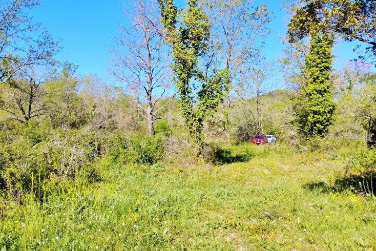 Realty photo 2