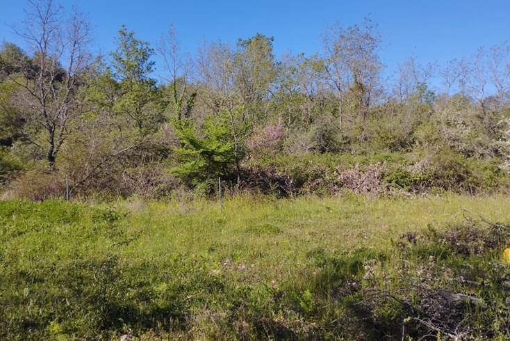 Realty photo 3