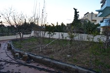 Property 34923 photo 6