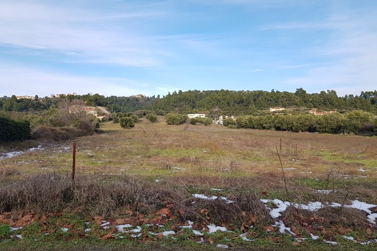 Realty photo 2
