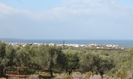 Land 11000 m² auf Kreta