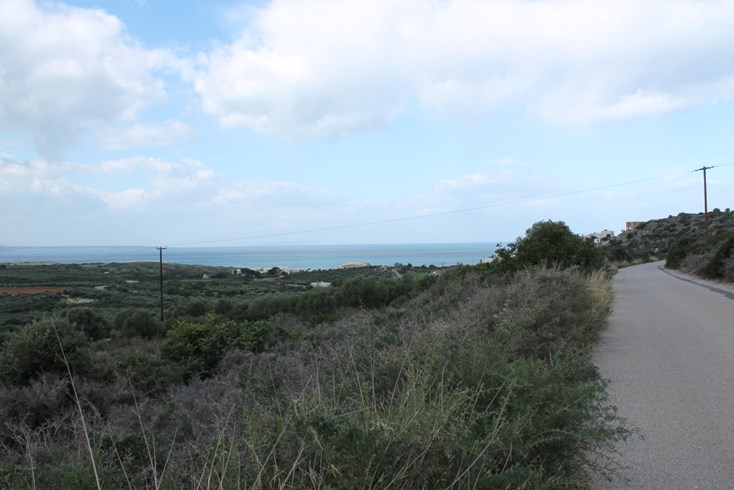 Realty photo 1