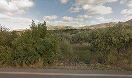 Land 7000 m² in Crete