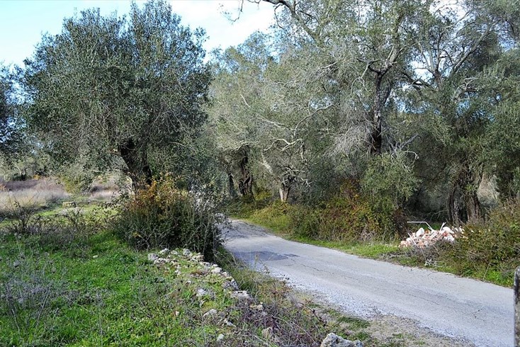 Realty photo 2