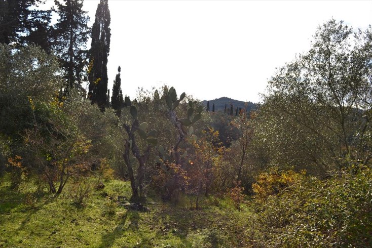 Realty photo 1