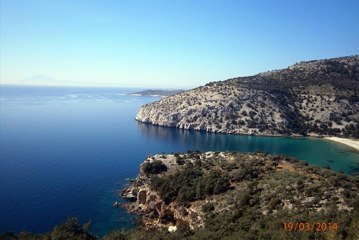 Realty photo 2