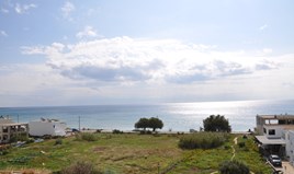 Land 5547 m² in Crete