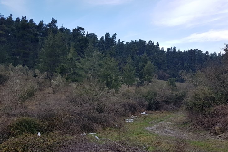 Realty photo 1