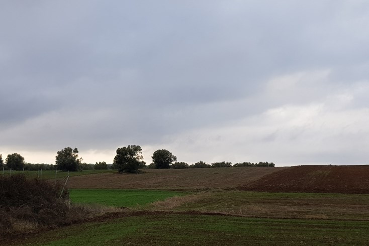 Realty photo 1