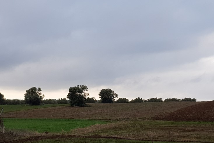 Realty photo 2