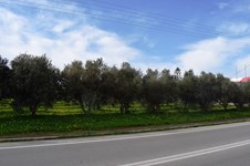 Property 35234 photo 1