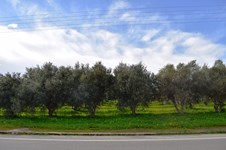 Property 35236 photo 3