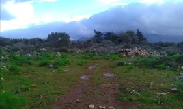 Земельна ділянка 4050 m² на Криті