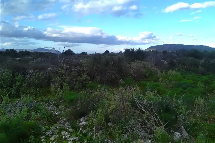 Realty photo 1