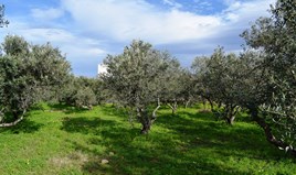 Zemljište 1900 m² na Kritu