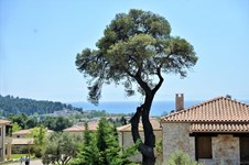Property 35283 photo 19