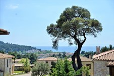 Property 35283 photo 3