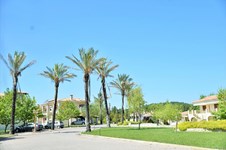 Property 35283 photo 25