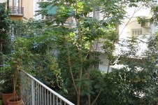Property 3537 photo 9