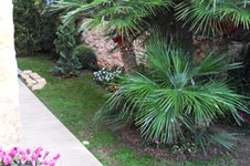 Property 354 photo 6