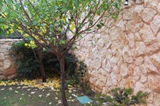 Property 354 photo 21