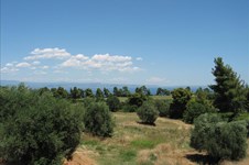 Property 35466 photo 2