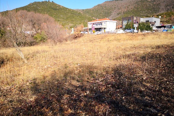 Realty photo 2