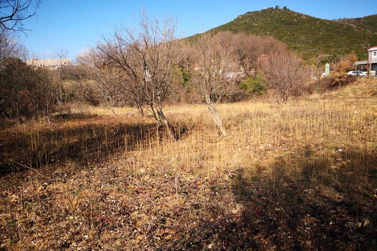 Realty photo 3