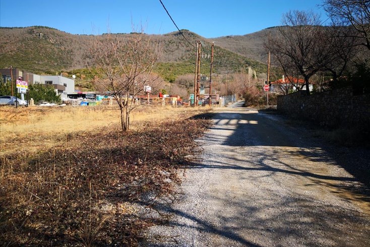Realty photo 1
