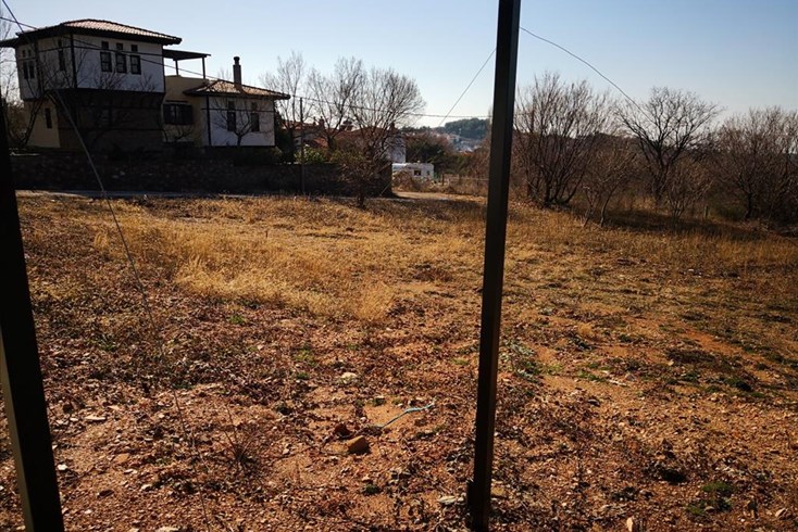 Realty photo 3