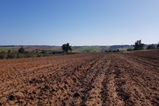 Property 35510 photo 1