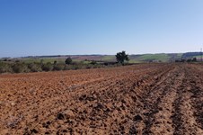 Property 35510 photo 5