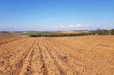 Property 35510 photo 3