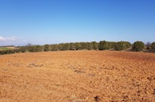 Property 35510 photo 2