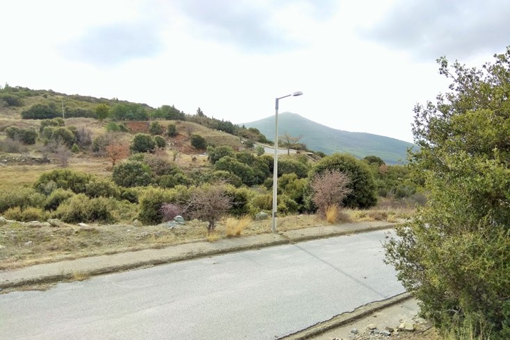 Realty photo 3