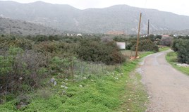 Land 11488 m² in Crete