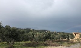 Land 2000 m² in Crete