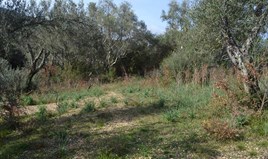 Земельна ділянка 4930 m² на о. Корфу